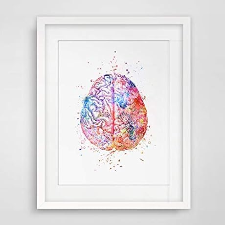 Watercolor Brain Anatomy Art: Artistic Insights into Neurological Marvels