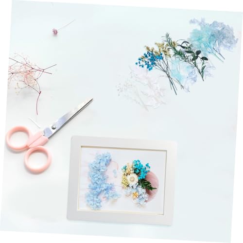 Kit de material de flores secas para manualidades miniatura 5