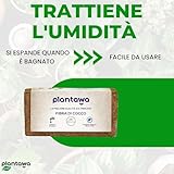 PLANTAWA B08TCHYGCJ lato 3