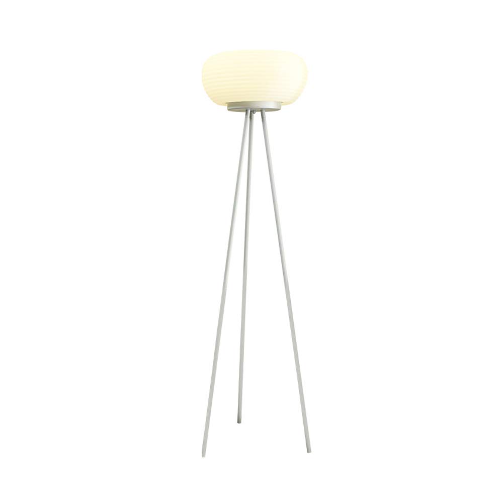 Lampada da Terra a treppiede, Lampada da Terra in Metallo Bianco con Paralume in Acrilico, 3 Temperature di Colore, Lampada da Terra a LED Moderna Dim