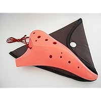 Amazon.com: Focalink Osawa 12 Holes Alto C ABS Resin (Sturdy 