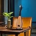 FELTECHELECTR Traditional Chinese Lute Vintage Instrument Prop Ancient Costume Photography High Simulated Chinese Lute Sturdy Decor