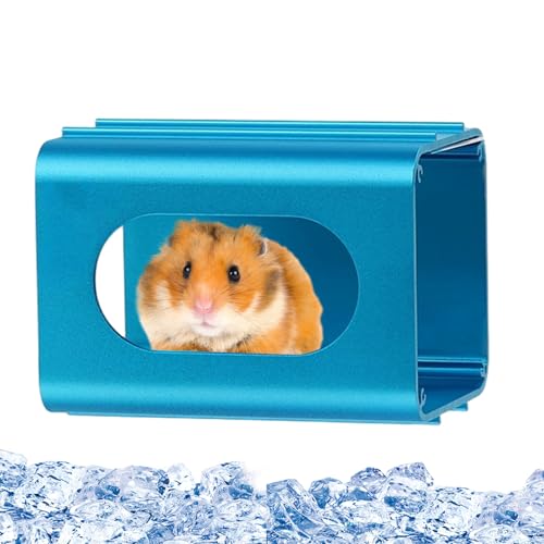 nX^[nEX - RpNgybgVF^[AlXeBOg[gnbg|h[toj[̋Sn̗ǂN[ȓ̐nAbg̃wbWzbOX```́ABƂ̃fUCƃ~OAĂ̐Q̃LrP[W