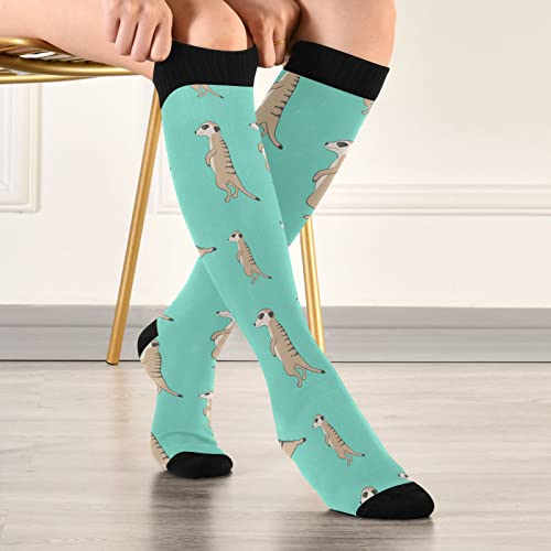 Image of Fisyme Socks for Women Men Warm Comfort Athletic Crew Running Hiking Cycling Compression Socks