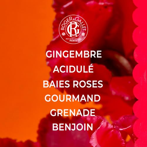Eau Parfumée Bienfaisante Gingembre Roger & Gallet Le Flacon De 100ml - vue 5