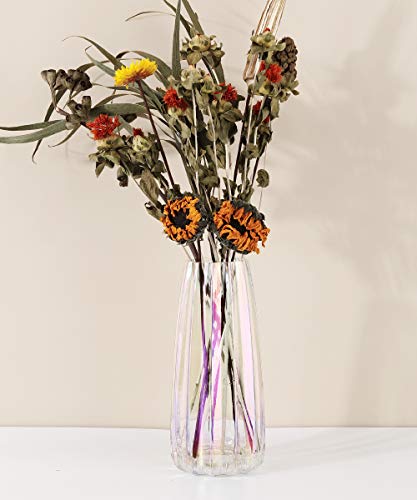 Lewondr Florero de Vidrio, 22CM Florero Decorativo Estilo Ins de Cristal Translúcido, Adecuado para Colocar Diferentes Tipos de Ramos de Flores en Oficina, Hogar, Cocina, Dormitorio – Colorido