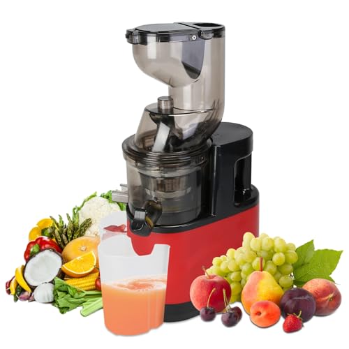 Cold Press Juicer,Slow Masticating Juicer Machines with Large Feed Chute Fit Whole Fruits & Vegetables 300W Juice Extractor Machine With Reverse Function 2 Containers Easy to Clean with Brush