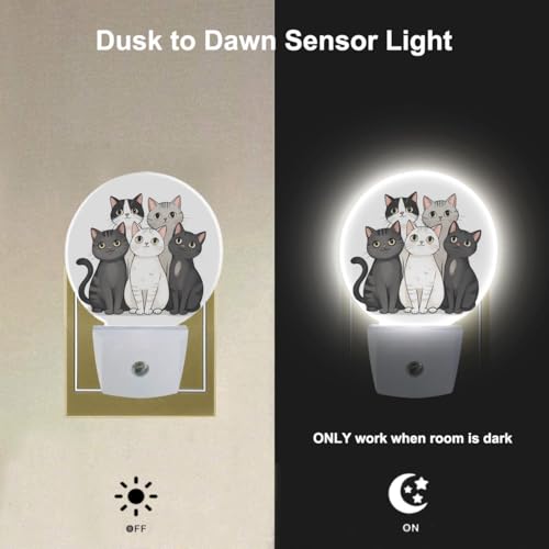 Image of EKOBLA Cute Cat Night Light, Gray, Black and White Kitten Night Lights Plug Into Wall with Dusk to Dawn Sensor for Boys, Girls and Bedroom Decor