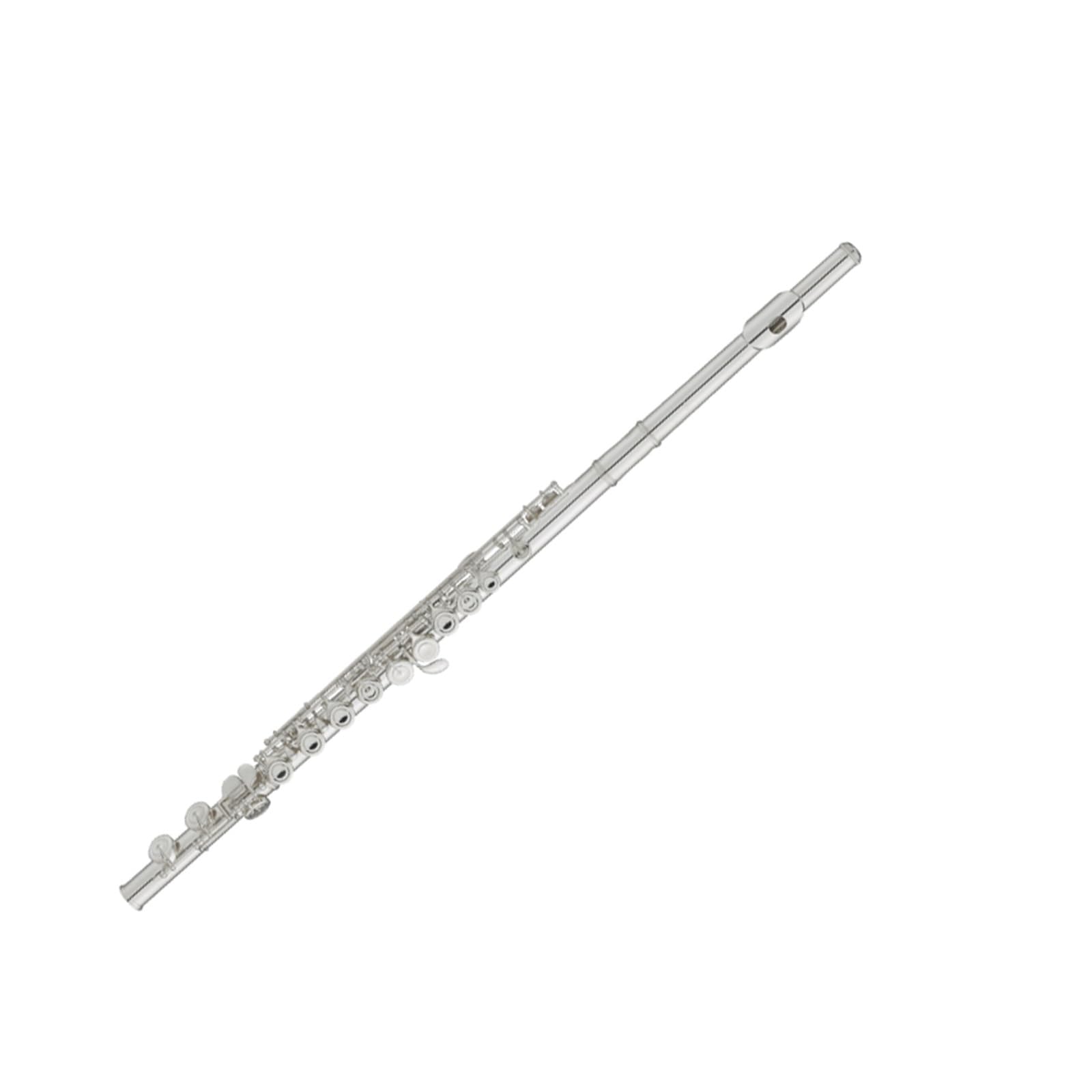 Flauto Professionale Esame Delle Prestazioni Della Chiave C Di Flauto A 16 Fori Orchestra Di Fiati Chiave C A 16 Fori In Alpacca
