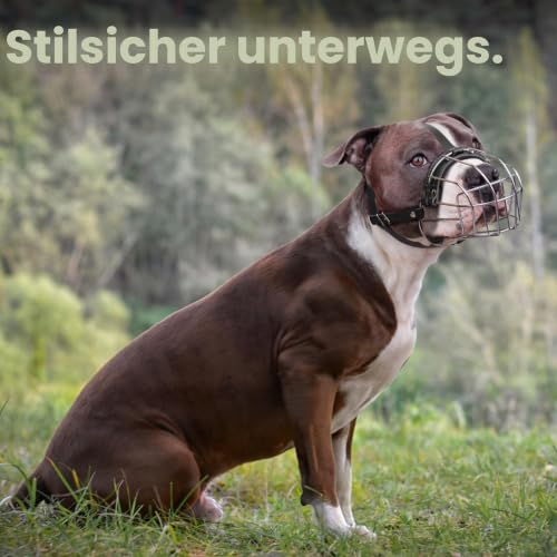 BronzeDog Maulkorb für Hunde aus Metall – Amstaff Drahtkorb mit verstellbaren Lederriemen für große Hunde