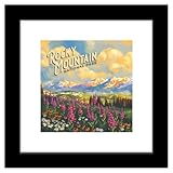 Gallery Pops Lantern Press - Rocky Mountain National Park Colorado Wall Art, 12' x 12' Gallery Pops Wall Art, Black Framed Version