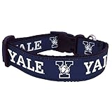 Collar de perro universitario (pequeño, Yale)