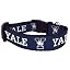 Yale
