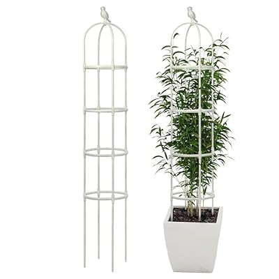 Garden Trellis for Climbing Plants, Rustproof Metal Pipe with Heavy Duty 6ft, Garden Outdoor Indoor Potted Plant Support?White?
