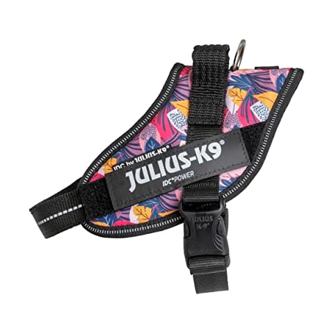 Julius-K9 IDC Powerharness S/Mini Limited Edition Cover