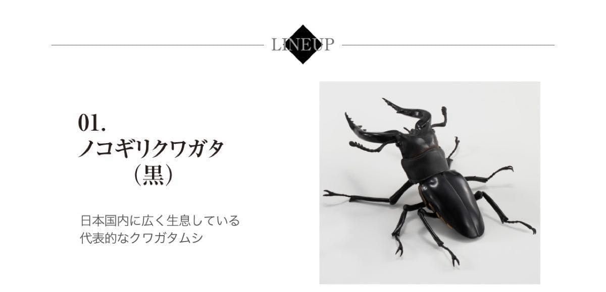 Amazon.co.jp: コンプリートセット いきもの大図鑑くわがた01 ギラファ