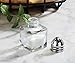 New Star Foodservice Glass Cube Mini Salt and Pepper Shaker (Silver with Rack)