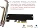 PLSNCFSM PCIe NVMe Adapter Card with Heat Sink, x4 Interface Fits in x8/x16 Slots, Converts M.2 SSD to PCIe 4.0/3.0 for Desktop