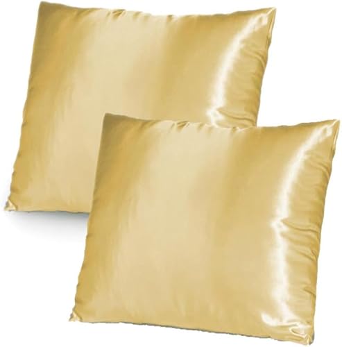Miniatura 7 de TAOSON Funda de cojín de satén suave y sedoso, funda de almohada, almohada para sofá, con cierre de cremallera oculta, solo funda de 24 x 24