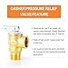 GASHER 1PCS Brass Temperature Pressure Relief Valve with 3/4