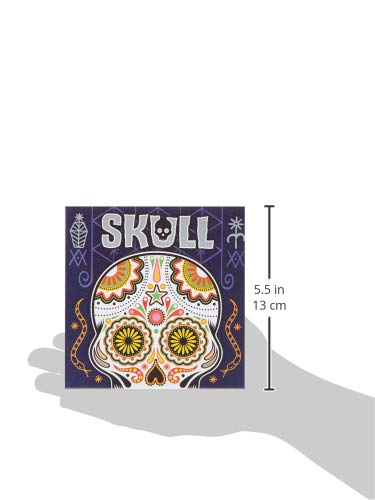 Skull product image 6
