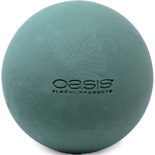 Flowerbox Oasis - Spugna in schiuma ideale, diametro 30 cm