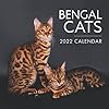 Bengal Cats 2022 Calendar: 12 Months 2022 Calendar Paperback August 25, 2021