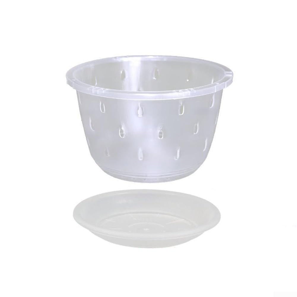 Pots à orchidée transparents pour sublimer votre décoration de salon et fenêtres fleuries
