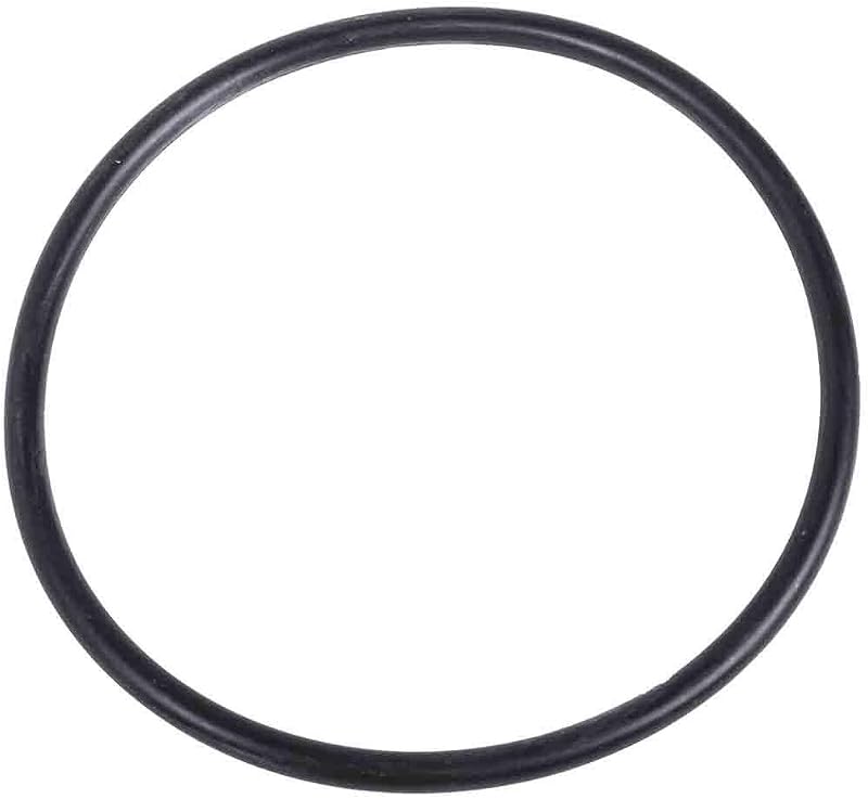 Retentor O-Ring do Rolamento da Roda Dianteira GM GENUINE PARTS 290-300 – 1 unidade