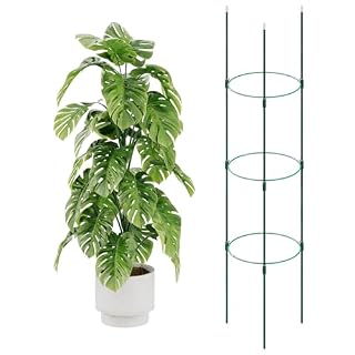 Bamworld cage à tomate 120 cm en acier vert réglable
