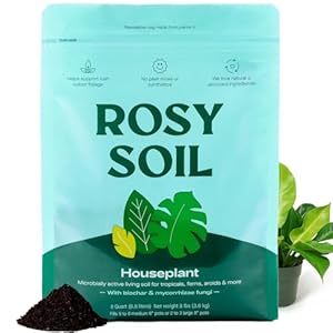 Rosy Soil Indoor Potting Soil for House Plants – Organic Potting Soil Mix for Indoor Plants – Enriched w/Root-Boosting Biochar for Foliage Plants, Flowers, Herbs – Peat Free, Less Prone to Gnats – 8qt