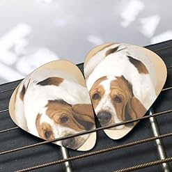 Pack de 12 médiators basset hound pour guitare électrique guitare acoustique diverses guitares - Les Beatles, Paul McCartney, John Lennon, RIngo Starr, George Harrison Pack de 12 médiators basset hound pour guitare électrique guitare acoustique diverses guitares – Image 6
