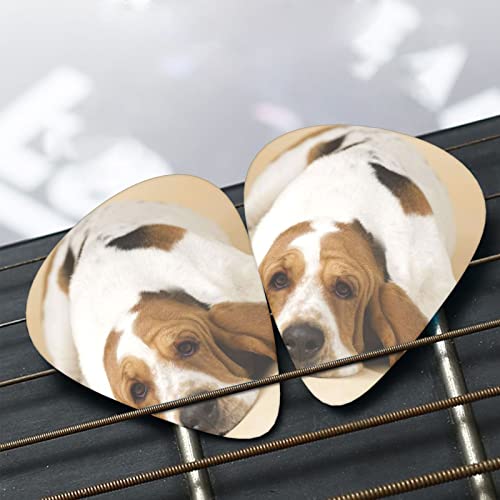 Pack de 12 médiators basset hound pour guitare électrique guitare acoustique diverses guitares - Les Beatles, Paul McCartney, John Lennon, RIngo Starr, George Harrison Pack de 12 médiators basset hound pour guitare électrique guitare acoustique diverses guitares – Image 7