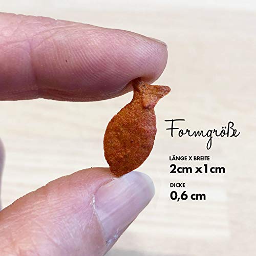 Collory Mini Fisch (2cm) Silikon Backform für Hundekekse & Hundeleckerlis, Pralinenform, Schokoladenform, Antihaftend und Lebensmittelecht (BPA-Frei)