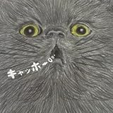キャッホー(初回生産限定盤)(DVD付)