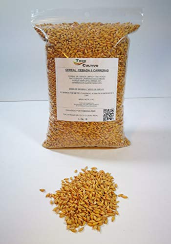 Barley 6 Races for Planting, 1 Kilo