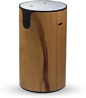 Difusor de Aceite Esencial Smant Smart Dual Boquilla Nano Mist 20ml Máquina de Terapia portátil para Hotel de Dormitorio (Brun)