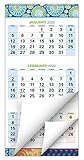 2019 Wall Calendar (Runs from November 2018 through January 2020), 3 month view, 13