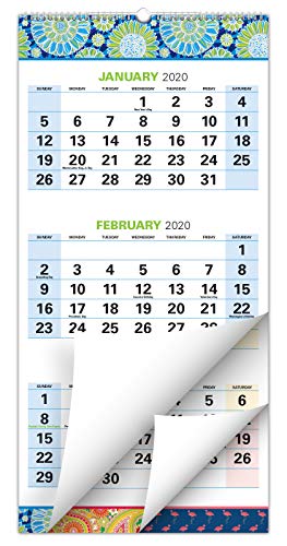 2020 Wall Calendar (Runs from November 2019 through January 2021), 3 month view, 13