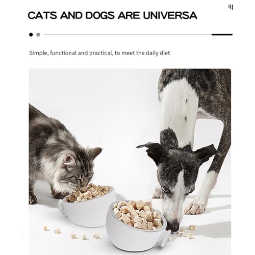 Missmisq Wandmagnetischer Hundenapf Edelstahl Haustier Trinknapf Futter- Und Wasserspender Für Katze Und Hund Wandmontage