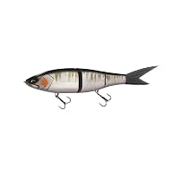 Amazon.co.jp: Galápagos（ガラパゴス） グレイス 280F (#15 マット
