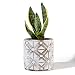 POTEY Cement Plant Pots Concrete Flower Planters Medium Pot with Drain Hole Flower Embossment