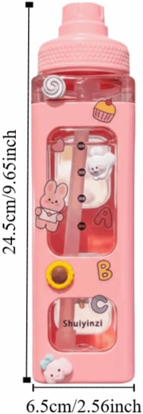 700ml Water Bottle with Straw - Large Leakproof Portable Drinking Cup with Dual Lid & Cute Stickers for Gym, Camping, Daily Hydration(Pink) image 2