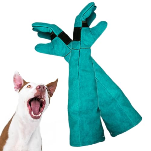 Gants pour la manipulation des animaux pour soigner vos compagnons avec amour