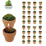 Succulent Tealight Candles with Terracotta Pot, Creative or Novelty, 36 Packs Handmade Decorative Candle as Housewarming Wedding Party Baby Shower Gifts