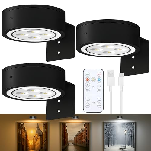 Kandicyar 3-Pack Picture Lights