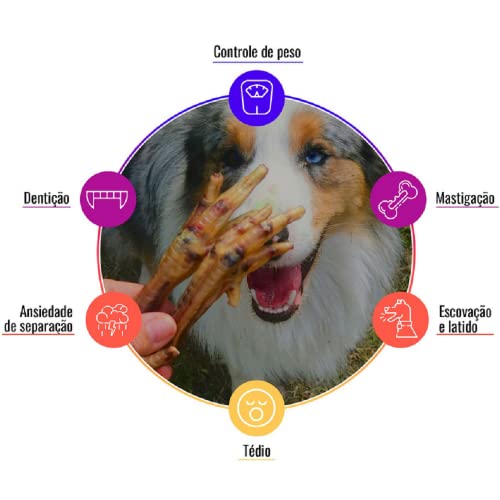 Mordedor Natural Cães GoodLovin Orelha Boi c/Ouvido Jumbo