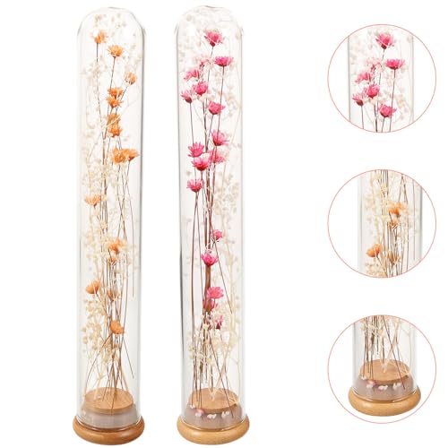 Fleurs Séchées Flacon Verre Déco Naturelle Poétique Maison - 8