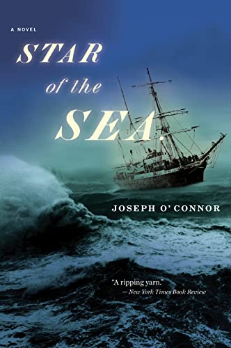 Star Of The Sea: A New York Times Notable Historical Thriller of ...