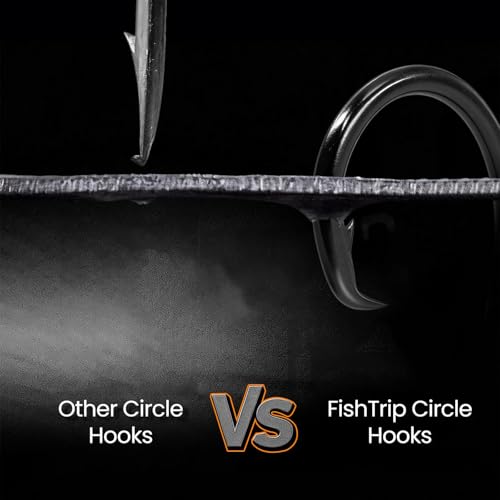 25pcs Circle Hooks Saltwater, in-Line 5X Strong Fishing Hooks for Saltwater & Freshwater, Live Bait Non-Offset Wide Gap Fish Hook for Catfish, Striped, Bass, Salmon, Mackerel, Tuna - Image 5